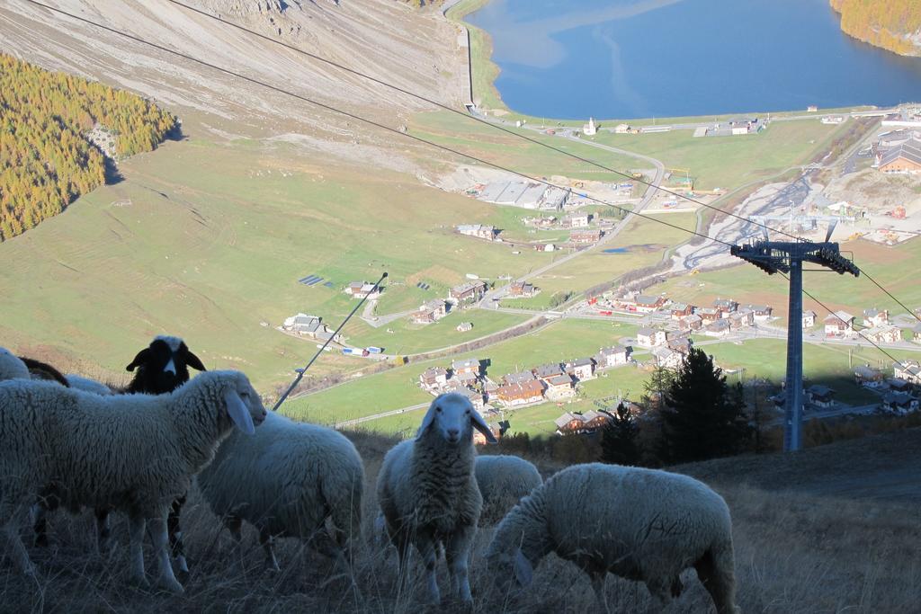 Chalet Del Sole Per Gruppi Livigno Ngoại thất bức ảnh